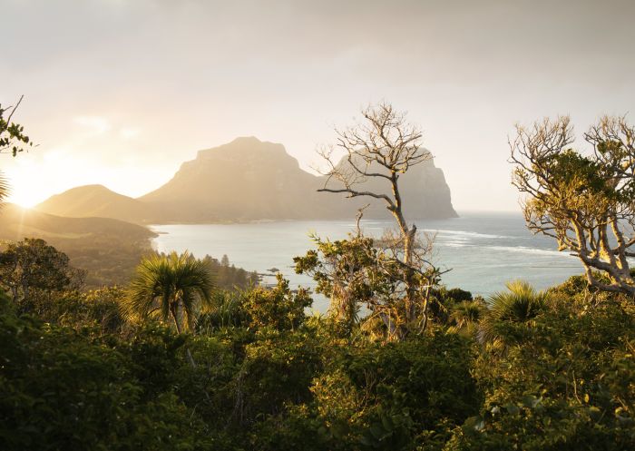 Mount Lidgbird and Mount Gower - Lord Howe Island