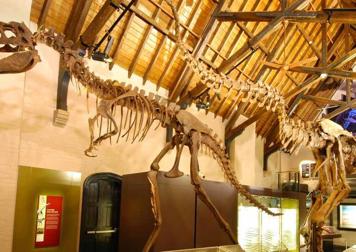 Dinosaur skeletons at the Australian Fossil and Mineral Museum, Bathurst