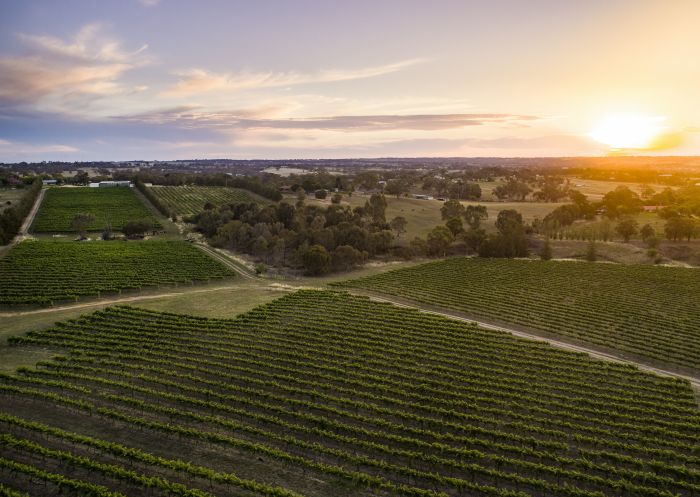 Sun setting over the scenic grounds of Grove Estate Wines, Young
