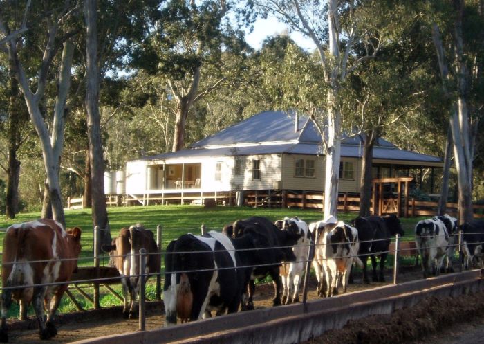 Lifestlye Stays at Dairy Flat Farm Holidays at Woodenbong in Kyogle, Lismore Area