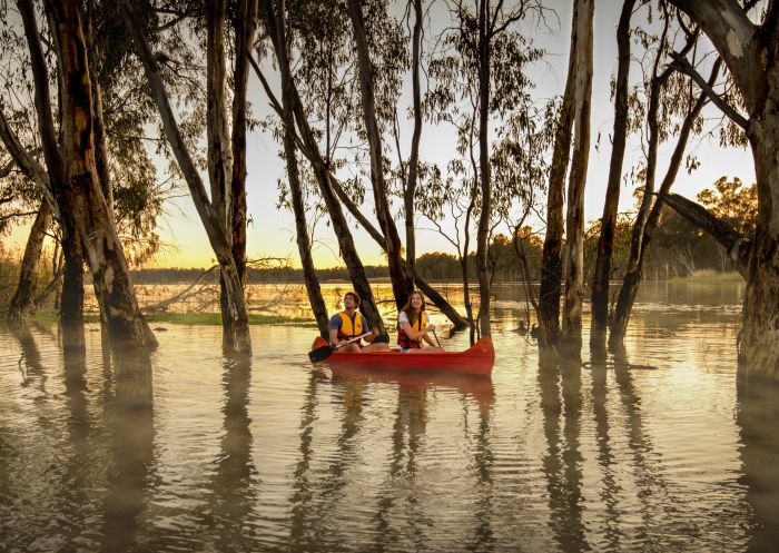 Kayaking along the Murray River in Barmah National Park