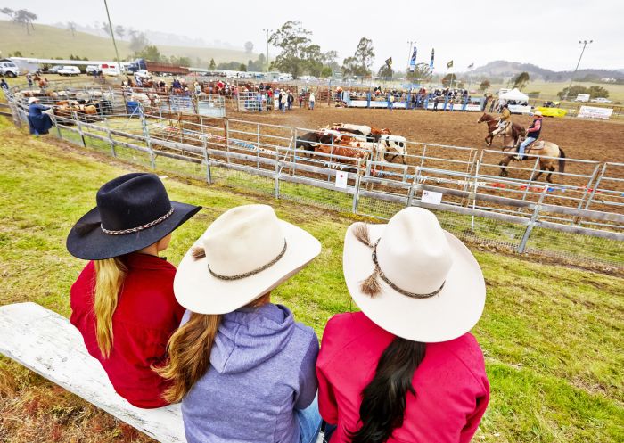 Crowds enjoying entertainment at The Annual Gresford Rodeo & Campdraft, Dungog Festival, Dungog