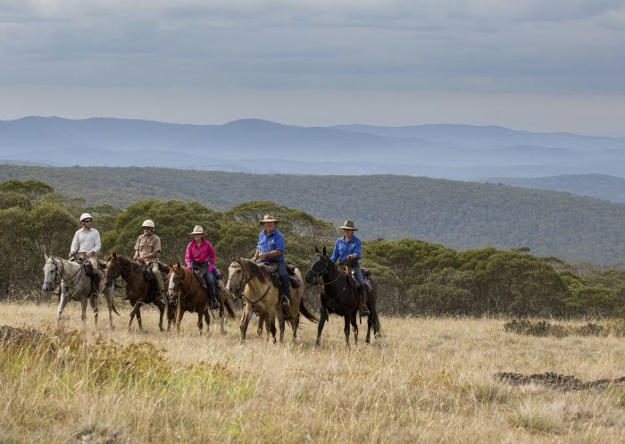 Cochran Horse Treks tour group enjoying a horse-riding tour through Kosciuszko National Park
