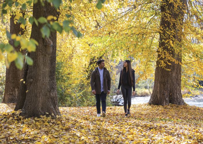 Couple enjoying the autumn colours along the Tumut River walk, Tumut Area