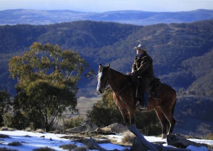 Experience the beautiful Thredbo Valley with Thredbo Valley Horse Riding tour