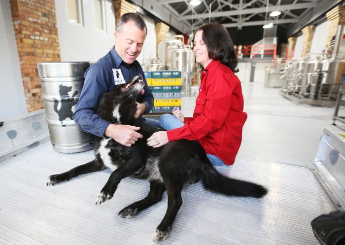 Owners Sam & Amanda Preston with their pooch Miss Bucket at the Bucket Brewery - Credit: Macleay Valley Coast