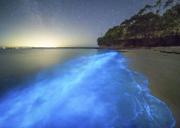Bioluminescent algae seen at Plantation Point, Vincentia in Jervis Bay, South Coast