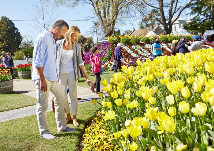 Tulip Time - one of Australia's oldest and leading floral festivals blooms, Bowral