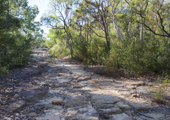 Dharug National Park at Hawkesbury in Sydney North