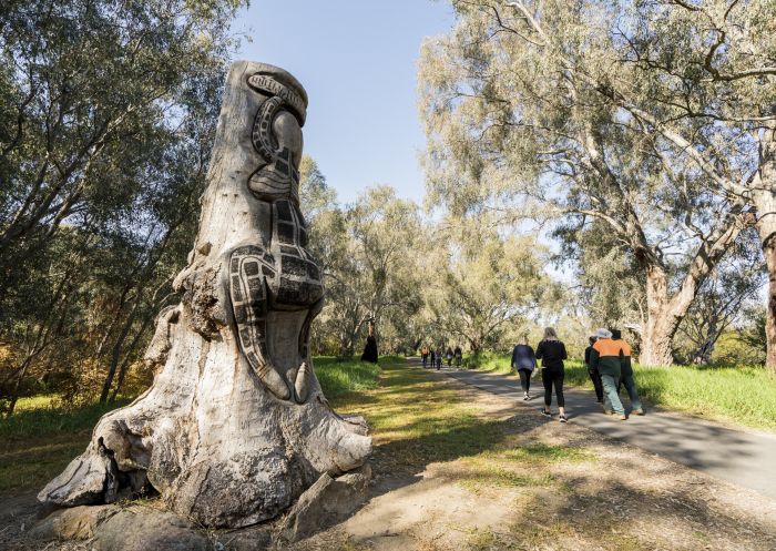Business event delegates enjoying a guided Aboriginal tour experience along the Wagirra Trail and Yindyamarra Sculpture Walk in Albury Wodonga