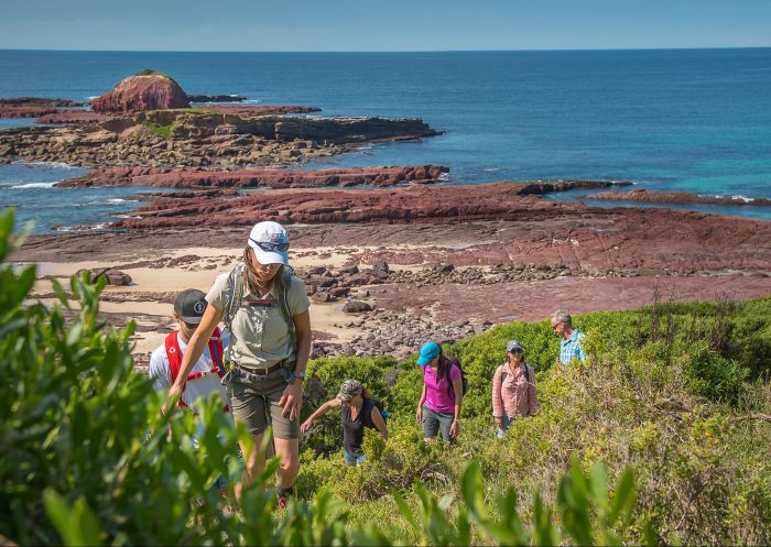 Tour guide and guests hiking up a hill with Gang Gang Tours in Tathra, Merimbula & Sapphire Coast