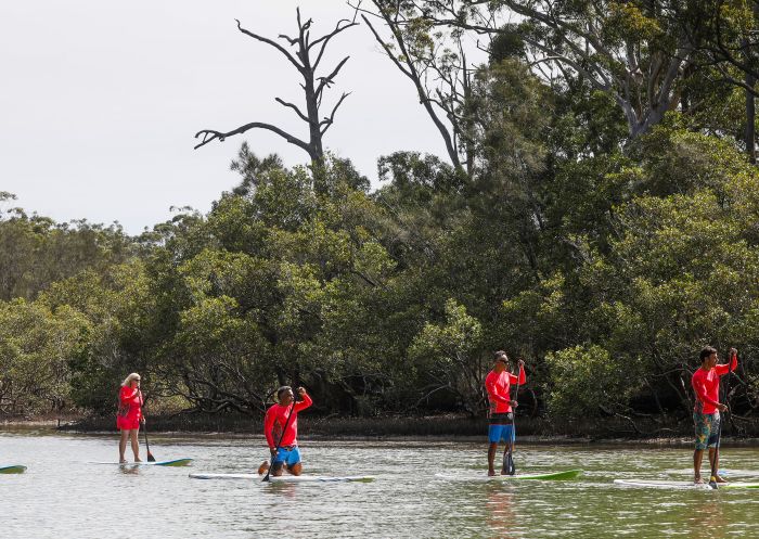 Group enjoying a stand-up paddleboarding tour with Wajaana Yaam Gumbaynggirr Adventure Tours, Moonee Creek