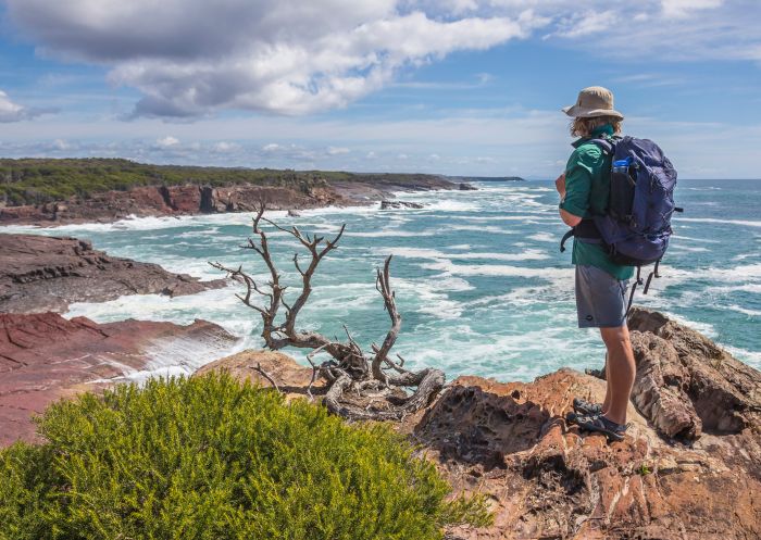 Man enjoying the scenic coastal views from Pulpit Rock at Beowa National Park, Green Cape, Sapphire Coast