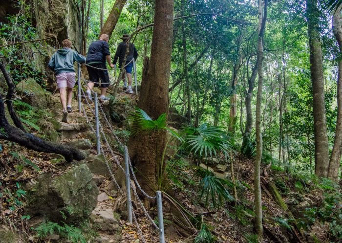 Group hike at Mount Kembla Ring Track, Illawarra Escarpment State Conservation Area