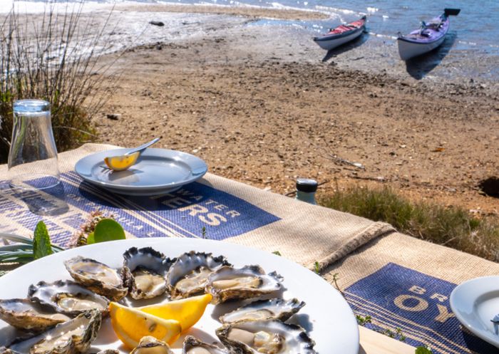 Oysters on the beach with Navigate Expeditions, Merimbula & Sapphire Coast