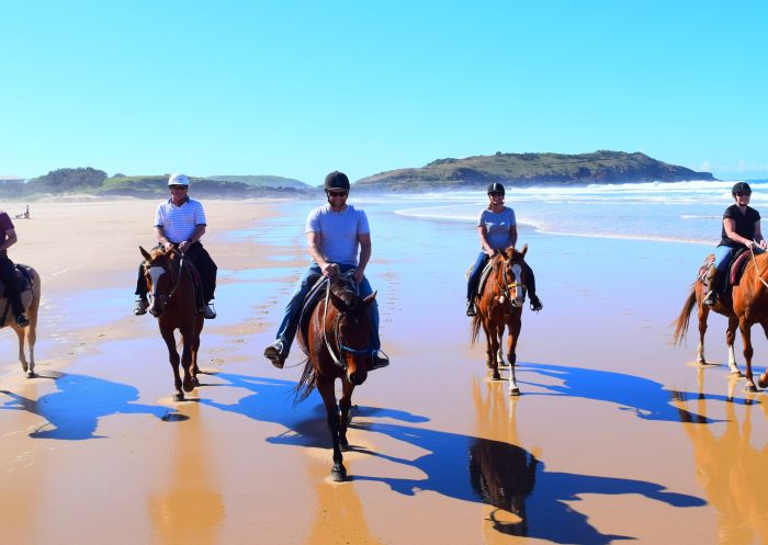 Boambee Beach Rides at HWH Stables Riding School and Trail Rides, Coffs Coast