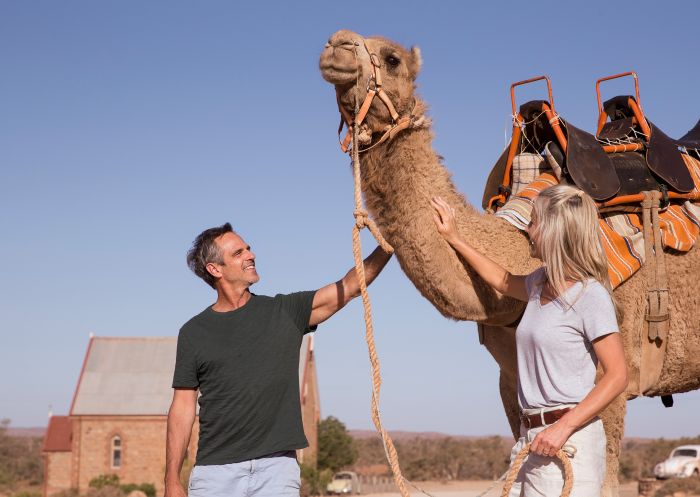 Couple meeting a camel at Silverton Outback Camels, Silverton 