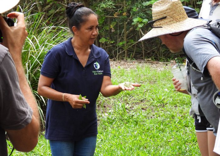 Local Arakwal woman Delta Kay teaching about local produce with Vision Walks Eco Tours, Mullumbimby Heritage Park 