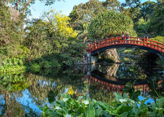 Bridge view over lake at Wollongong Botanic Garden, Wollongong