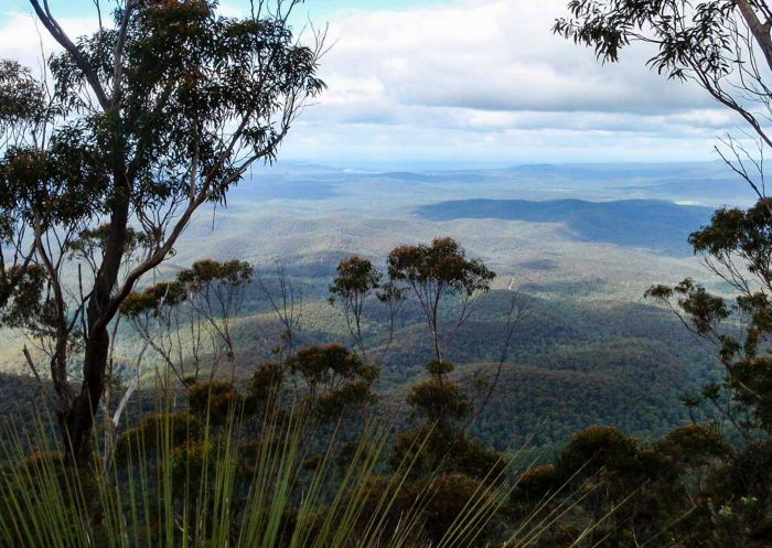 view of the Mount Imlay Summit Walking Track overlooking Mount Imlay National Park
