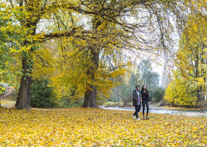 Couple enjoying the autumn colours along the Tumut River Walk, Tumut