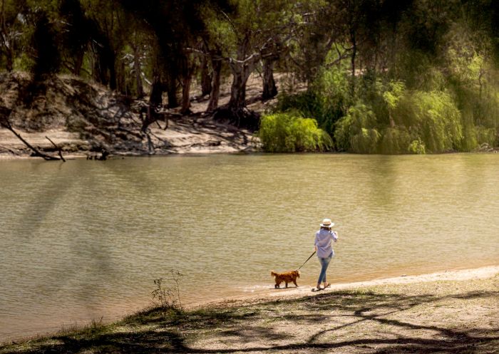 Woman strolling with dog at Beach to Beach Riverside Walk, Deniliquin