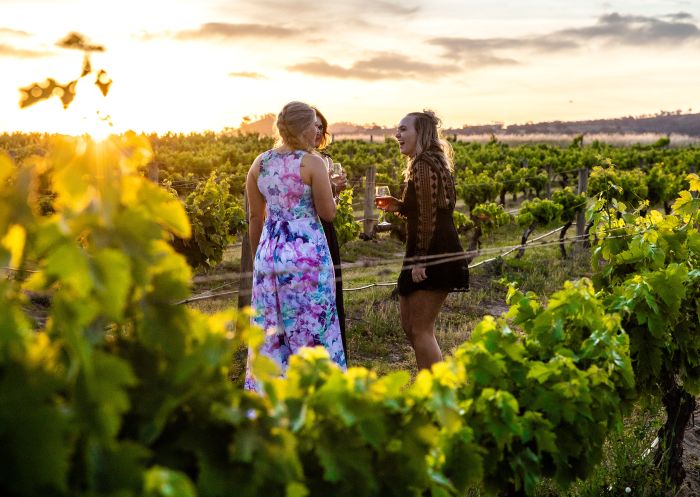 Women enjoying local wines in the vineyard at Burnbrae Wines, Mudgee