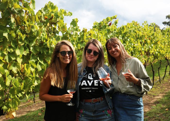 Wine tasting with Dave's Tours - Credit: Dave's Travel Group