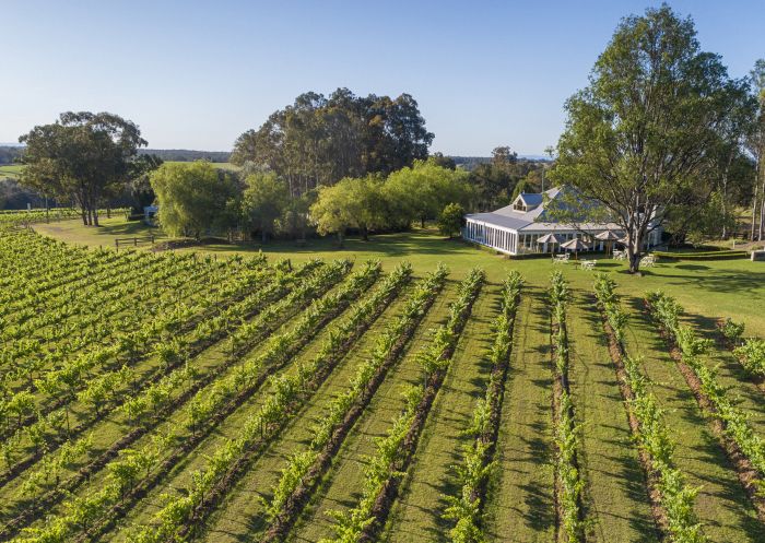 Aerial view of the vineyards at Spicers Vineyard Estate, Hunter Valley 