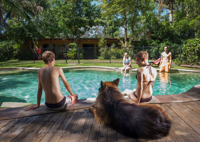 Guests by the pool with dog Bo at Samurai Beach Bungalows Port Stephens YHA, Port Stephens