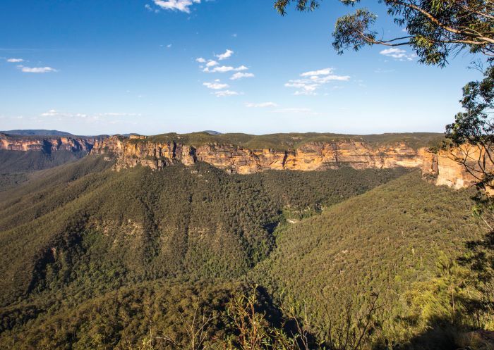 Scenic views across the Grose Valley at Evans Lookout, Blackheath