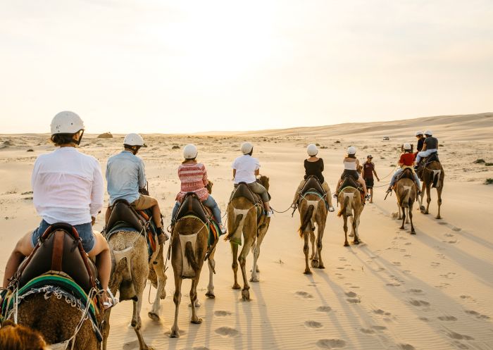 Sunset camel riding experience in Anna Bay, Port Stephens