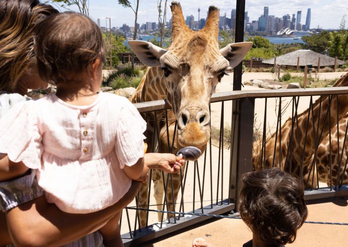 Family feeding a giraffe at Taronga Zoo, Mosman