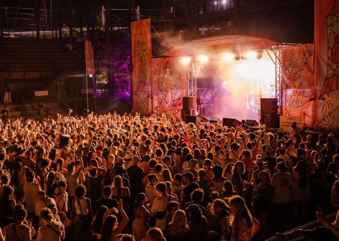 Crowd enjoying a gig at Laneway Festival, Sydney