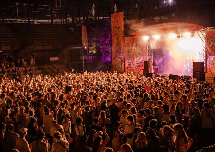 Crowd enjoying a gig at Laneway Festival, Sydney