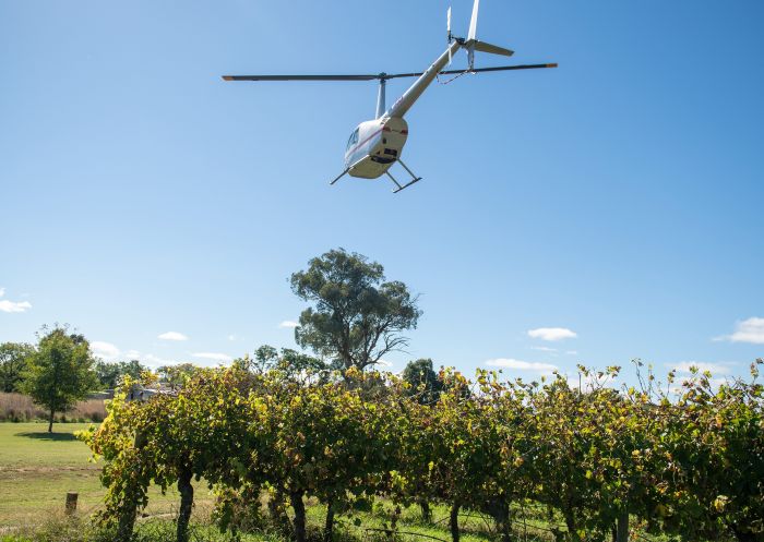 Scenic flight over the vineyards at Printhie Wines Cellar Door, Orange