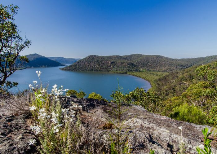 View down to the winding Hawkesbury River at Marramarra National Park, Hawkesbury Region