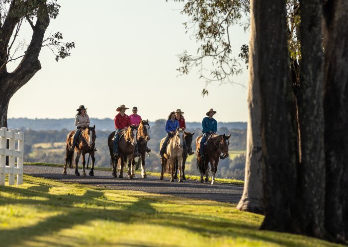 Group enjoying horse ride with Hunter Valley Horses, Pokolbin