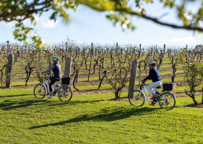 Group of friends in the vineyards with Grapemobile Bicycle Hire & Tours, Pokolbin
