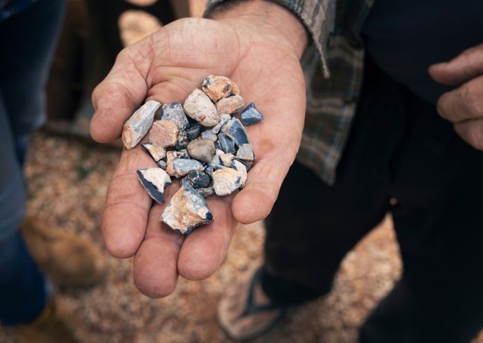 Man showing visitors opal fragments at the Sheepyard Inn, Lightning Ridge