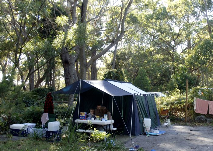 Family camping holiday at Booderee National Park: Green Patch Camping Area, Jervis Bay
