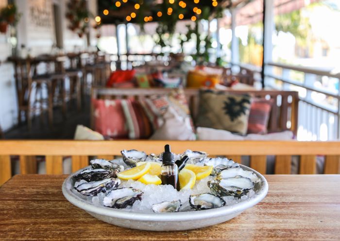 Freshly shucked oysters at Balcony Bar and Oyster Co., Byron Bay