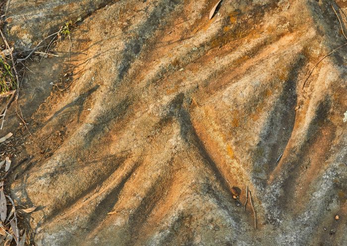 Close up view of ancient Terramungamine Reserve Grinding Grooves, Dubbo