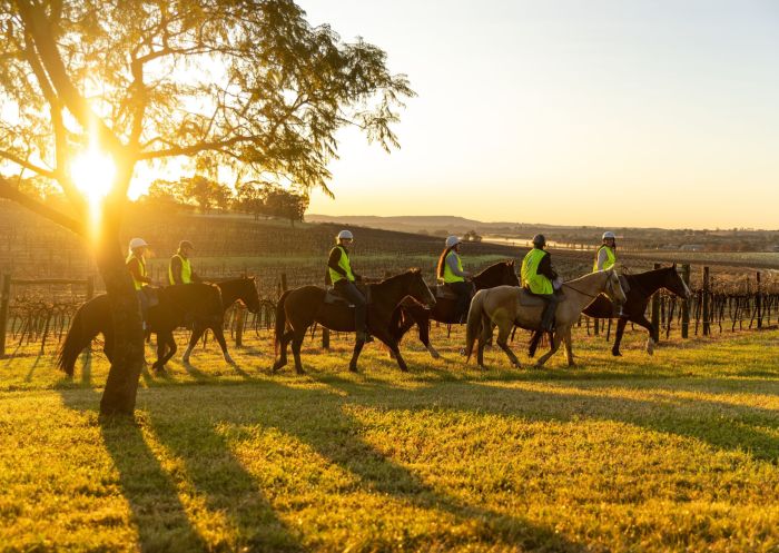 Enjoying an experience at sunset with Hunter Valley Horses