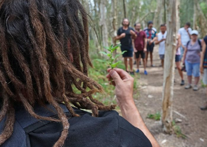  Indigenous tour guide taking group on tour with Djiriba Waagura Cultural Tours, Jervis Bay