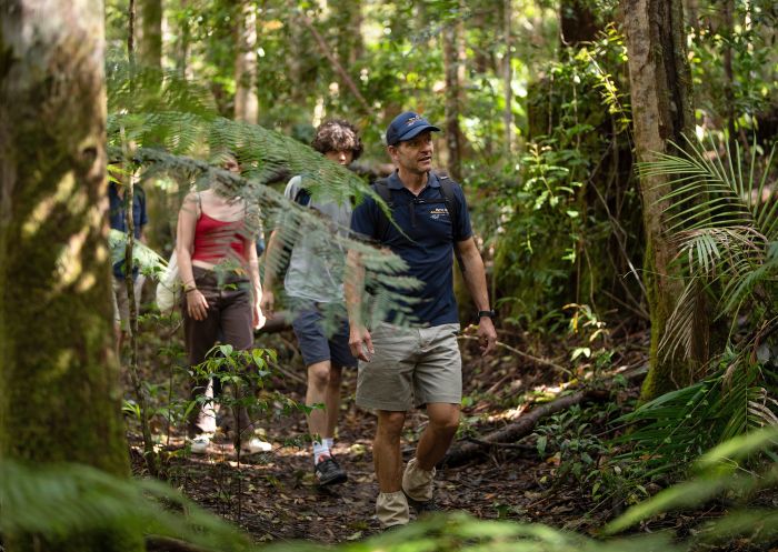 People on a Byron Bay Adventure Tour, Nightcap National Park
