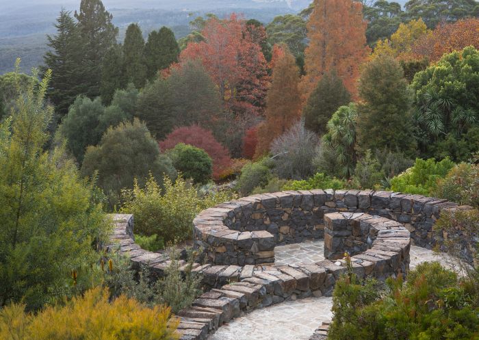 Winding path through the garden in Blue Mountains Botanic Garden, Mount Tomah