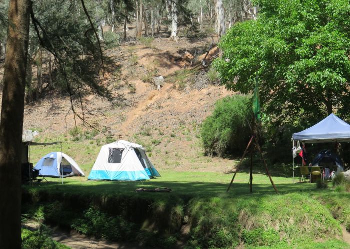 Camping with tents at Abercrombie Caves campground, in Abercrombie Karst Conservation Reserve, Bathurst