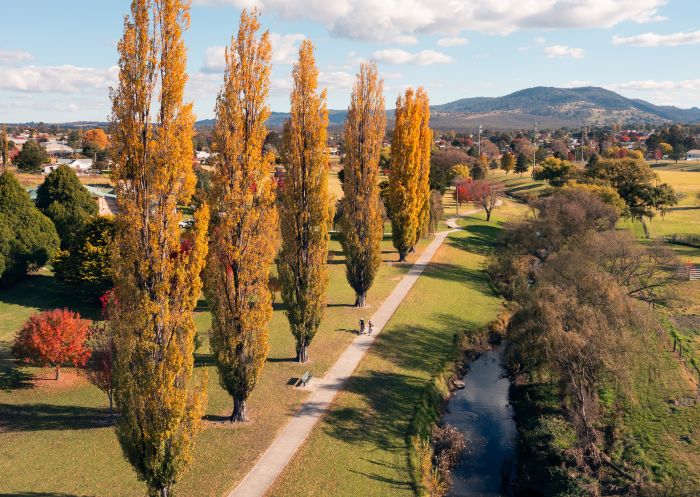 Cyclists riding through Rotary Park in autumn, Tenterfield