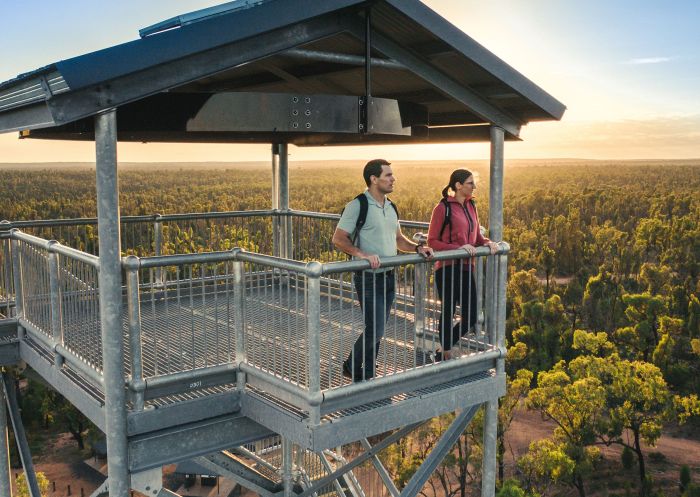 Couple looking at the view from Pilliga Forest Lookout Tower, Pilliga